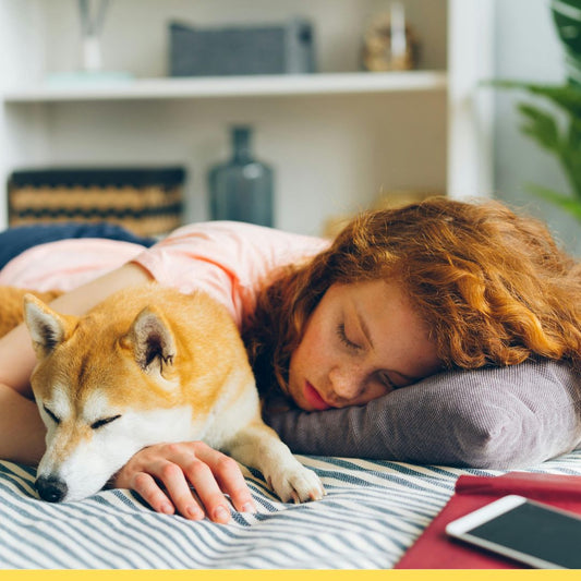 Ideas para dormitorios juveniles de jóvenes con mascota